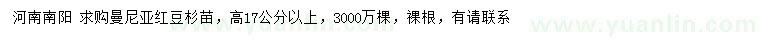 求購高17公分以上曼尼亞紅豆杉苗