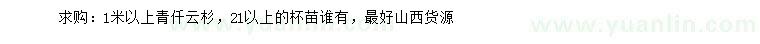 求購1米以上青仟云杉
