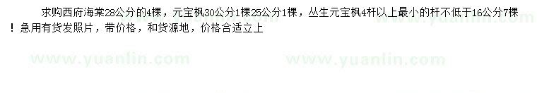 求購西府海棠、元寶楓，叢生元寶楓