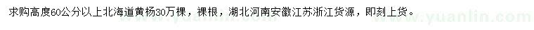 求購(gòu)高度60公分以上北海道黃楊