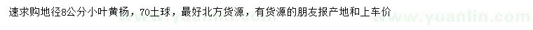 求購(gòu)地徑8公分小葉黃楊