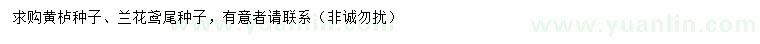 求購黃櫨種子、蘭花鳶尾種子