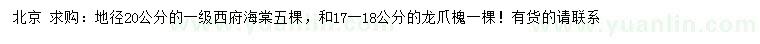 求購地徑20公分西府海棠、17-18公分龍爪槐