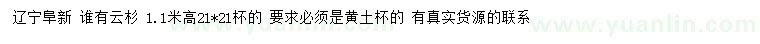 求購高1.1米云杉