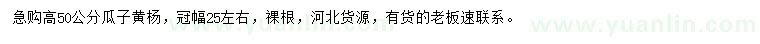 求購(gòu)高50公分瓜子黃楊