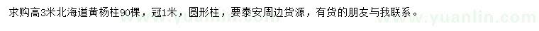 求購高3米北海道黃楊柱