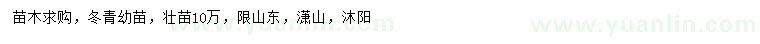 求購冬青幼苗