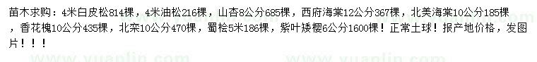 求購白皮松、油松、山杏等