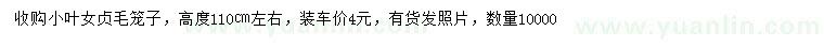 求購高度110公分左右小葉女貞毛籠子