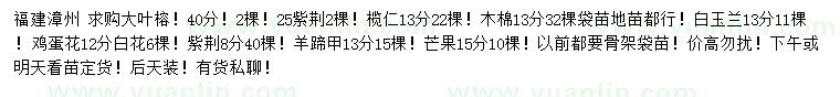 求購大葉榕、紫荊、欖仁等