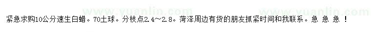 求購(gòu)10公分速生白蠟