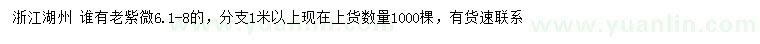 求購6.1-8公分老紫微