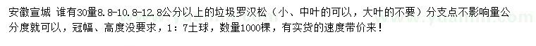 求購30量8.8、10.8、12.8公分以上垃圾羅漢松