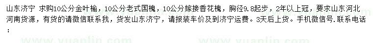求購(gòu)金葉榆、老式國(guó)槐、嫁接香花槐