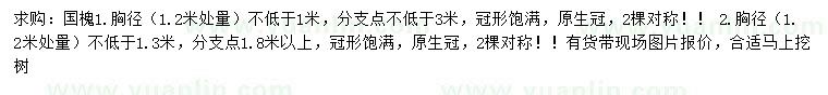 求購(gòu)胸徑1.2米處量1、1.3米以上國(guó)槐