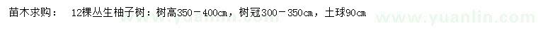 求購(gòu)樹(shù)高350－400公分叢生柚子樹(shù)