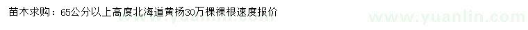 求購高度65公分以上北海道黃楊