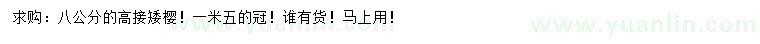 求購8公分高接矮櫻