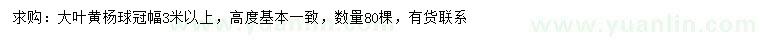 求購冠幅3米以上大葉黃楊球