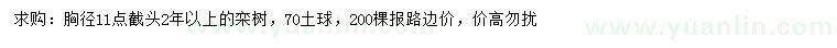 求購胸徑11公分欒樹