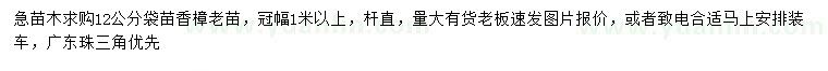 求購12公分香樟
