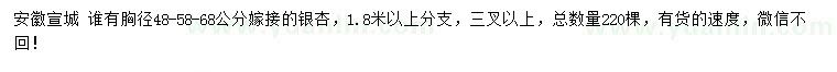 求購胸徑48、58、68公分嫁接銀杏