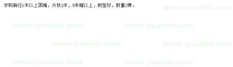 求購胸徑1米以上國槐