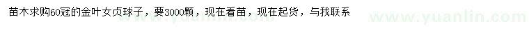 求購(gòu)冠幅60公分金葉女貞球