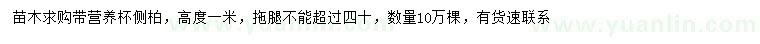 求購高度1米側(cè)柏