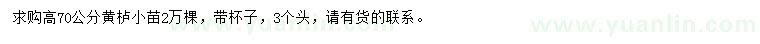 求購(gòu)高70公分黃櫨小苗