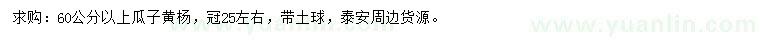 求購(gòu)60公分以上瓜子黃楊