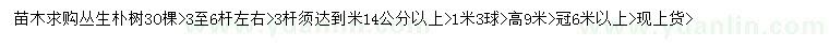 求購高9米叢生樸樹