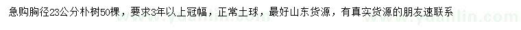 求購胸徑23公分樸樹