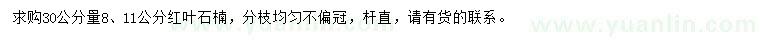 求購30公分量8、11公分紅葉石楠