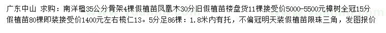 求購南洋楹、鳳凰木、樟樹等