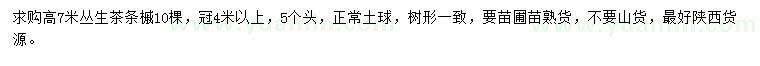 求購高度7米叢生茶條槭