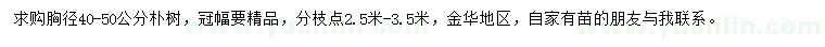 求購胸徑40-50公分樸樹