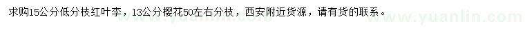 求購(gòu)15公分紅葉李、13公分櫻花