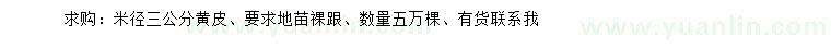 求購米徑3公分黃皮