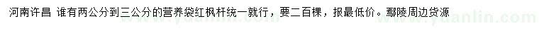 求購2-3公分紅楓