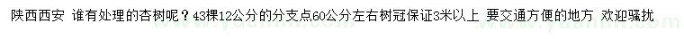 求購12公分杏樹