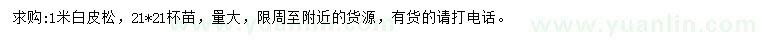 求購(gòu)1米白皮松