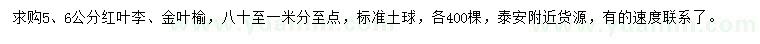 求購5、6公分紅葉李、金葉榆