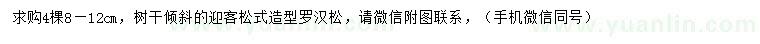 求購8-12公分造型羅漢松