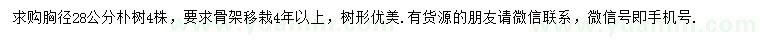 求購(gòu)胸徑28公分樸樹(shù)
