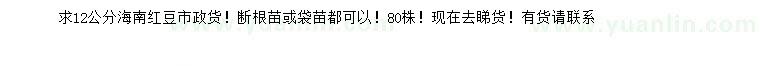 求購12公分海南紅豆