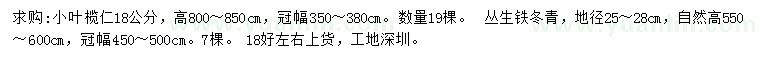 求購18公分小葉欖仁、地徑25-28公分叢生鐵冬青