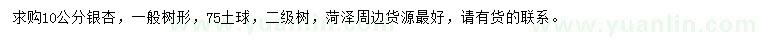 求購10公分銀杏
