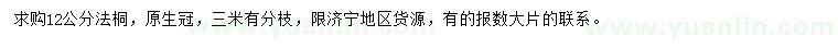 求購12公分法桐
