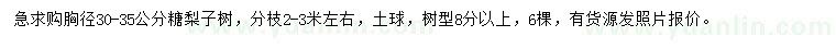 求購胸徑30-35公分糖梨子樹
